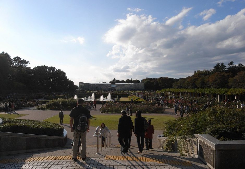 Jindai Botanical Gardens