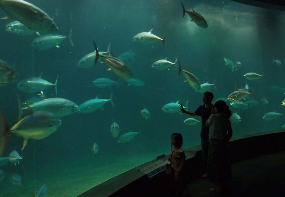 葛西臨海公園(葛西)