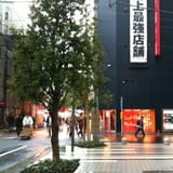 Mandarake Complex
