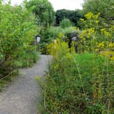 Mukojima-Hyakkaen Garden