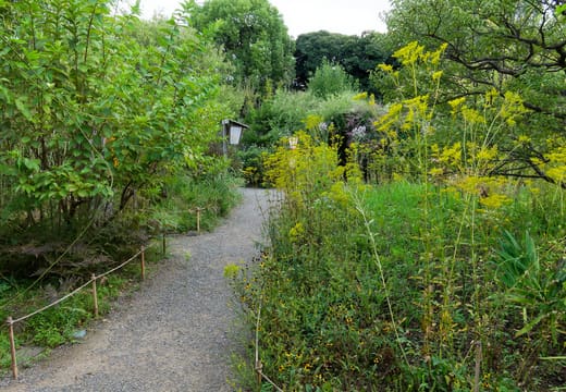 Mukojima-Hyakkaen Garden