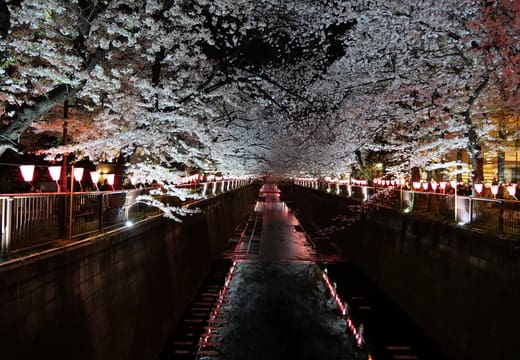 Nakameguro canal bars