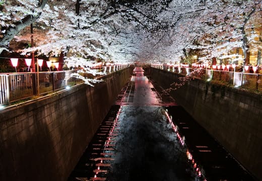 Nakameguro riverside dining