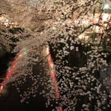 Nakameguro