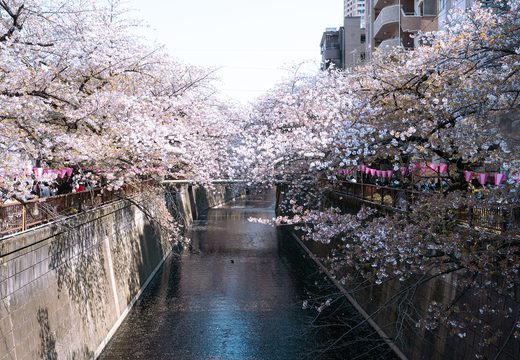 Nakameguro