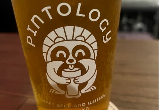 Pintology