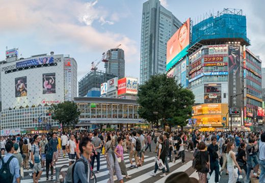 Shibuya Crossing