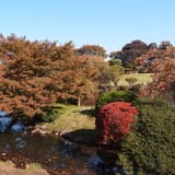 Shinjuku Gyoen