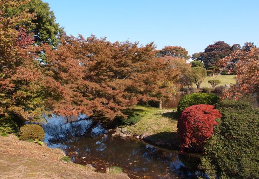 Shinjuku Gyoen