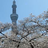 Sumida Park