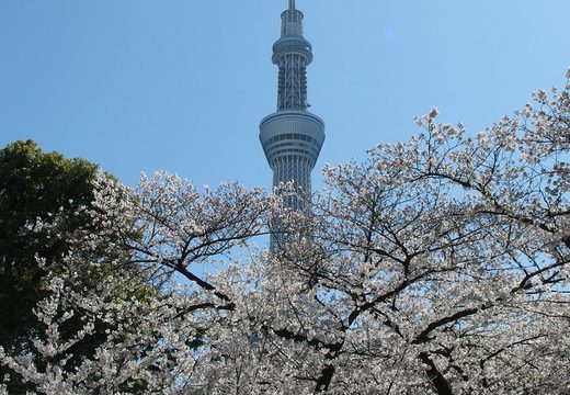 Sumida Park
