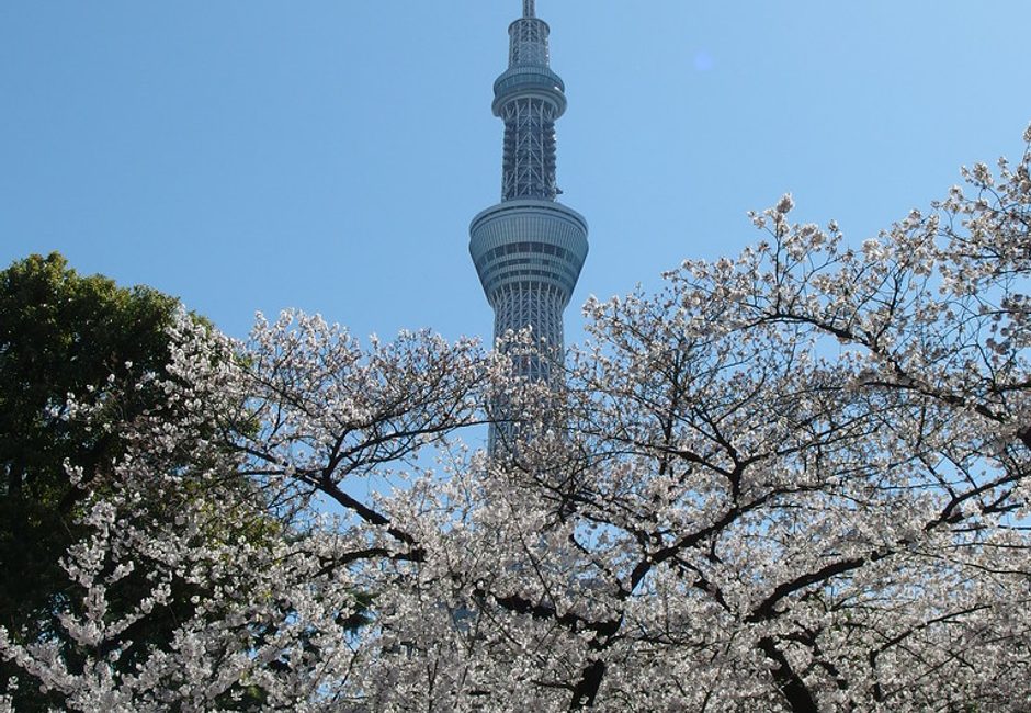 Sumida Park, Asakusa, Tokyo