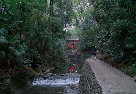 Todoroki Valley