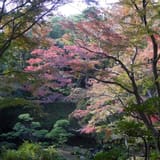 Tonogayato Garden