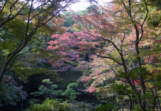 Tonogayato Garden
