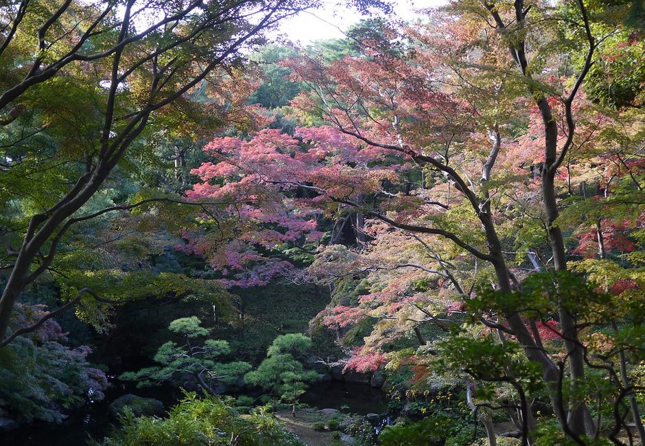 Tonogayato Garden