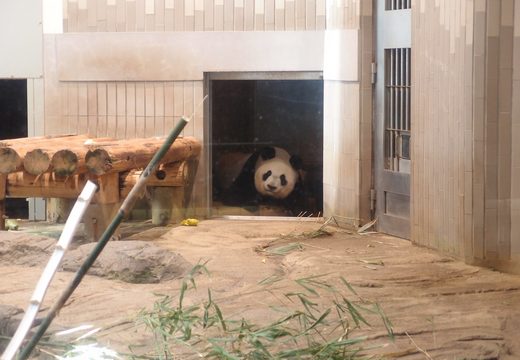 Ueno Zoo