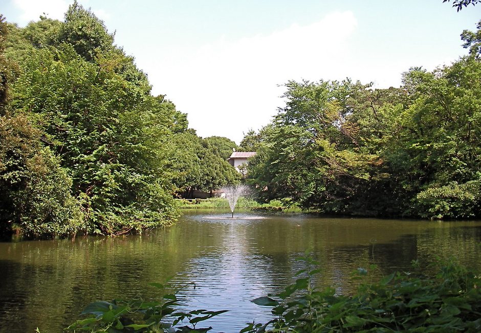Wadabori Park