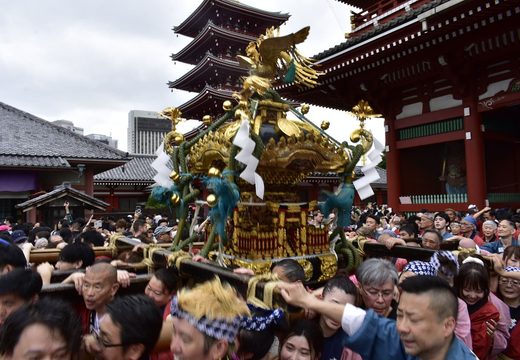 A golden mikoshi carried through the crowd in front of Senso-ji during Sanja Matsuri