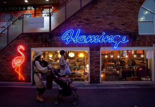 The neon Flamingo sign over a vintage clothing shop in Shimokitazawa