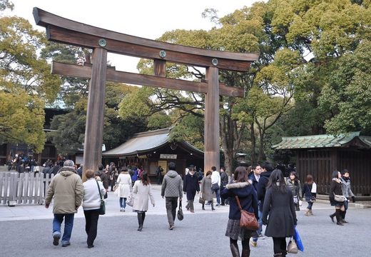 The great wooden torii at the entrance to Meiji Jingu