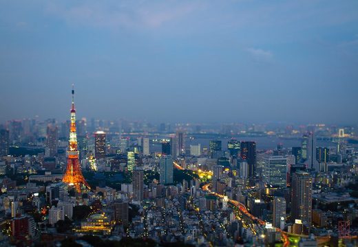Tokyo Tower and the city skyline stretching to the bay at dusk