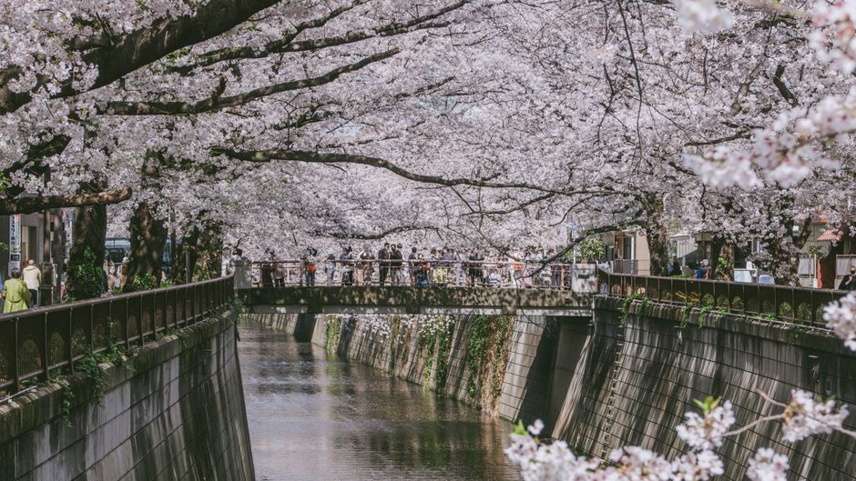 Where to Stay in Nakameguro, Tokyo